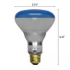 Satco S2852 150R30/GRO Grow Lamp Plant Light 150W 120V Reflector