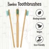 Bottles N Bags 144 Biodegradable Prepasted Bamboo Tooth Brush Individually