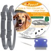 Hitpest Hitpest Flea and Tick Collar for Large Dog, 12-Month