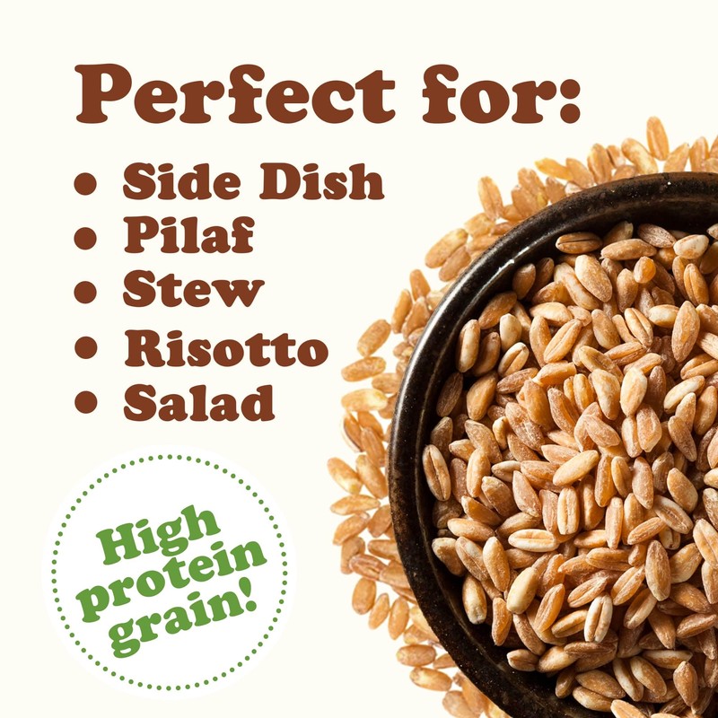 Food to Live Pearled Farro Grain, 1.5 Pounds - Italian