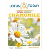Chamomile Tea for relaxation whole Loose Flowers premium quality Herbal