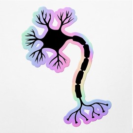 Holographic Decal Stickers of Nerve Cell Neuron Brain 1 Premium Waterproof Vinyl Decal Stickers for Laptop Phone Accessory Helmet Car Window Mug Tuber Cup Door Wall Decoration ANDVER3794621HO