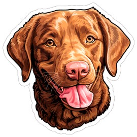 Chesapeake Bay Retriever Sticker Decal Vinyl Small Waterproof for Water Bottle Mug Passport Book Scrapbook Notebook Laptop Tumbler Skateboard Computer Phone Size Funny Gift Car Stickers ID44990