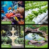 FREESEA Fountain Submersible Water Pump: 845 GPH 60W Small Sump