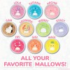Horizon Group USA SQUISHMALLOWS SLIME MIX-INS SET Ages 6+