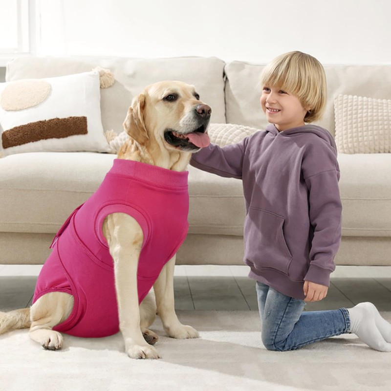 Kuoser Dog Surgery Suit Female Spay, Dog Recovery Suit Male