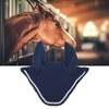 Horse Ear Bonnet Elastic Horse Ear Net Hand Crochet Horse