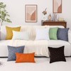Pallene Soft Faux Fur Throw Pillow Covers 18x18 Set of