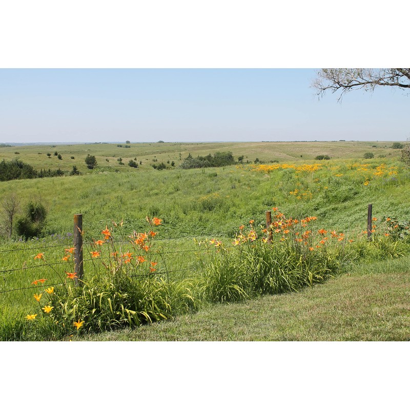 Fresh Bee Pollen Raw Nebraska Bee Pollen 1.5lb Jar