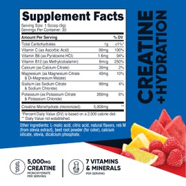 Nutricost Creatine Monohydrate + Hydration Fruit Punch Flavored (30 Servings) - 7 Vitamins & Minerals, 5000mg of Creatine Per Serving