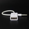 HYROOY 3.5mm Male to USB Female Converter Cable for Car