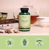 Cordyceps Sinensis Vegavero® | 650 mg (10:1) CS-4 Extract 40%