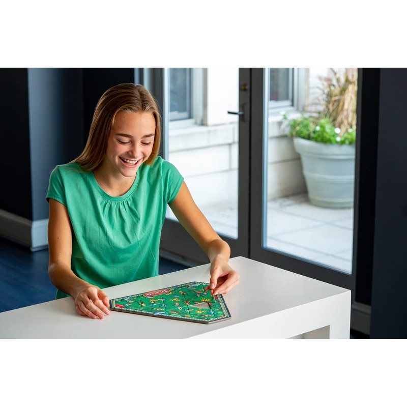 Think Fun Triazzle Picture-Matching Brainteaser (Frogs) Puzzle for Ages 8 and Up (76490)