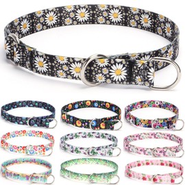 haoyueer Training Dog Collar, No Pull Martingale Collar, Slip Collar with Slidable Stop Ring for Small, Medium, Large Dogs (L, Daisy)