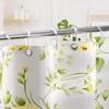 Amazer Plastic Shower Curtain Rings, 24 Pcs Shower Curtain Hooks,