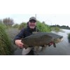 Rapala Scrcd07-Gfr Currican Scatter Rap Countdown