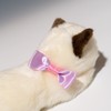Ribbon Cat Siamese Cat