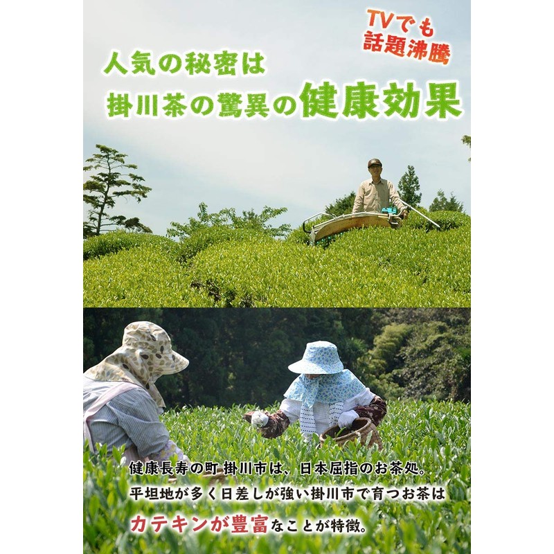 Chawaya Kakegawa Autumn Bancha, 3.3 lbs (1.5 kg)
