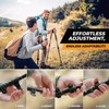 Foxelli Carbon Fiber Trekking Poles – Lightweight Collapsible Hiking Poles