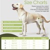 Lushnessu Adjustable Dog Leg Brace - ACL, Torn Ligament &