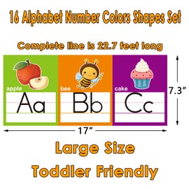 Alphabet Line Bulletin Board Set ABC Number 0-20 Wall Decorations for Pre-School Kindergarten Elementary Classroom Nursery Homeschool(Large, 16 Pcs)