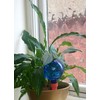 Plantpal Pack of 2 Large Watering Globes. Intelligent system allows