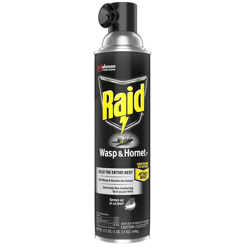 Raid Wasp and Hornet Killer, 17.5 Oz (Pack of 4)