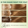 Garnier Hair Color Creme, 70 Dark Natural Blonde (Almond Crème),