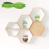 BBTO 6 Set Mini Succulent Pots Bulk with Drainage and