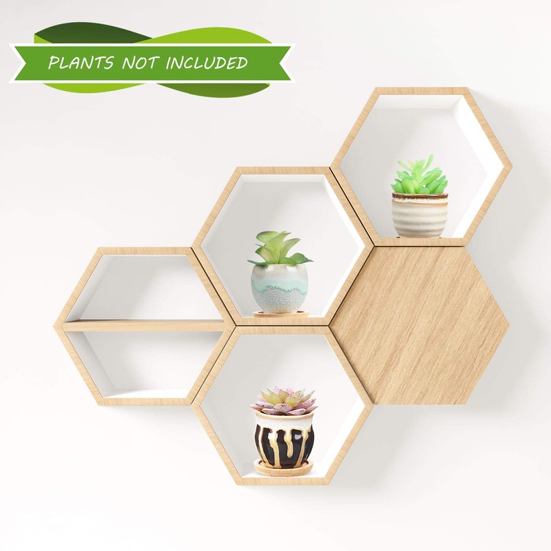 BBTO 6 Set Mini Succulent Pots Bulk with Drainage and