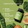 Zesty Nutrition Recuperación Intestinal 4 En 1 Con Prebióticos, Probióticos,