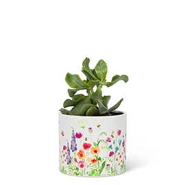 Abbott Collection Small Bee Garden Planter - Ceramic (4.5" D)
