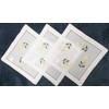 T&K Doilies 30 x 30 cm Handmade Hemstitch with Embroidery,