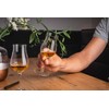 2 Stück Eisch Rumglas Jeunesse 514/63 handgefertigt