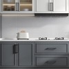 goldenwarm 10 Pack 5 Inch Black Cabinet Handles Kitchen -