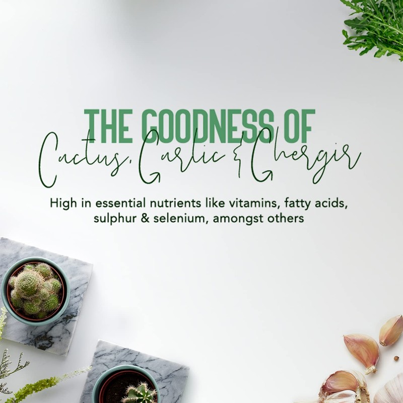 Vatika Naturals Cactus Enriched Hair Oil for Hair Fall Control