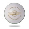 Cricnix Cricket Ball Gold White Leather 142g (1-Pack) for Practice