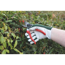 Spear & Jackson GNLGLOVESKEW Kew Gardens Collection Leather Palm Gloves, Green, Large