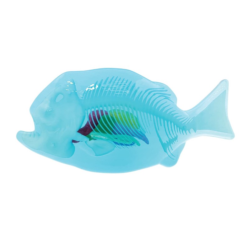 Original Slimy Lab Dissect-IT Piranha - Experiment & Research Dissecting