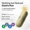 Cápsulas de Energía Bio Krauter Goat's Rue con 100 Unidades