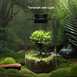 Desktop Glass Plant Terrarium with Grow Light (H:9.8" D:5.9"), for Succulent, Moss, Miniature Gardening Landscape, Betta Fish Tank, Office Home Decoration, Plant Lovers Gifts