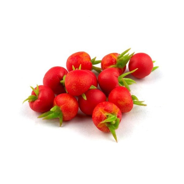 MyTinyWorld 9 x Dolls House Miniature Handmade Finely Detailed Red