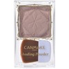  Canmake Shading Powder 04 Ice Gray Brown 5g