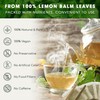 FreshDrinkUS, Premium 120 Lemon Balm Leaf Tea Bags, 100% Natural
