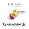 GABARIN Jr