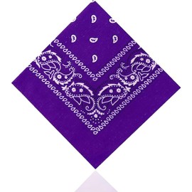 Lizzy Paisley Multifunctional Bandana's Headwear Neckwear Neckerchief Cycling Cowboy Scarf Head Neck Gaiter - Mens Womens Multipack Assorted Men Hair Pirate Bandana (Lilac)