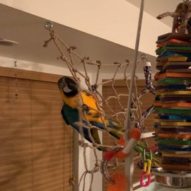 Tfwadmx Natural Bird Rope Net, Large Size - 24''X24'' Parrot Swing Hammock, Bird Climbing Ladder Hanging Cage Perch Chew Toys for Budgies Macaw Conure Finch Cockatoo Budgie African Grey Parakeet