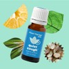 Plant Therapy Kids Quiet Cough Essential Oil Blend 10 mL
