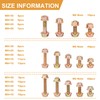 VIGRUE 250pcs Grade 8.8 Metric Bolts and Nuts Assortment Kit,