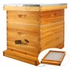 MayBee 10 Frame Screened Bottom Board Beehive Dipped in 100%